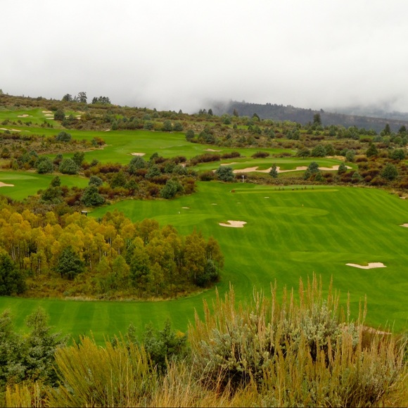 Meet your Posher, Laura - Picture 2 of 2